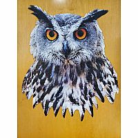 I AM OWL (500)